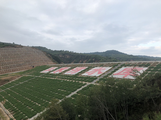 洛川县李家河水库工程